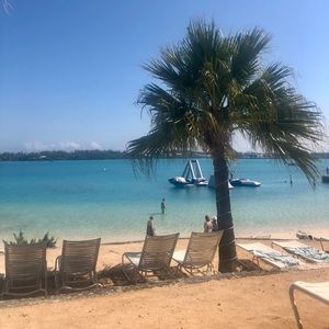 Meet your Posher, Amara